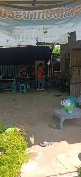 กองสาธารณสุขและสิ่งแวดล้อม เทศบาลตำบลปักธงชัย ออกพ่นหมอกควัน เพื่อกำจัดยุงลายพาหะนำโรคไข้เลือดออกให้กับประชาชนในพื้นที่