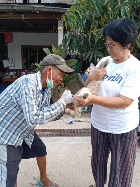 เทศบาลตำบลปักธงชัย จัดโครงการสัตว์ปลอดโรค คนปลอดภัยจากพิษสุนัขบ้า ประจำปีงบประมาณ 2567 เพื่อป้องกันและควบคุมไม่ให้สุนัขและแมวเป็นโรคพิษสุนัขบ้า ซึ่งจะส่งผลให้คนและสัตว์ปลอดภัย 13 มีนาคม 2567