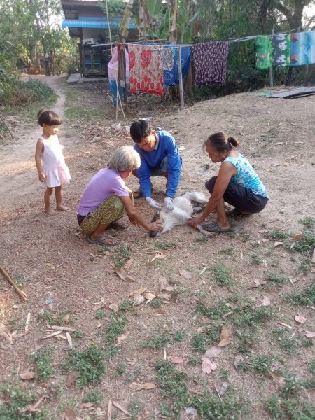 เทศบาลตำบลปักธงชัย จัดโครงการสัตว์ปลอดโรค คนปลอดภัยจากพิษสุนัขบ้า ประจำปีงบประมาณ 2567 เพื่อป้องกันและควบคุมไม่ให้สุนัขและแมวเป็นโรคพิษสุนัขบ้า ซึ่งจะส่งผลให้คนและสัตว์ปลอดภัย 13 มีนาคม 2567