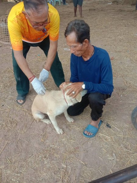 เทศบาลตำบลปักธงชัย จัดโครงการสัตว์ปลอดโรค คนปลอดภัยจากพิษสุนัขบ้า ประจำปีงบประมาณ 2567 เพื่อป้องกันและควบคุมไม่ให้สุนัขและแมวเป็นโรคพิษสุนัขบ้า ซึ่งจะส่งผลให้คนและสัตว์ปลอดภัย 13 มีนาคม 2567