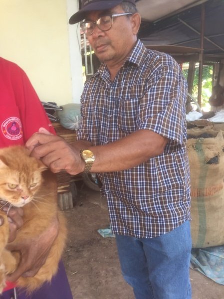 เทศบาลตำบลปักธงชัย จัดโครงการสัตว์ปลอดโรค คนปลอดภัยจากพิษสุนัขบ้า ประจำปีงบประมาณ 2567 เพื่อป้องกันและควบคุมไม่ให้สุนัขและแมวเป็นโรคพิษสุนัขบ้า ซึ่งจะส่งผลให้คนและสัตว์ปลอดภัย 13 มีนาคม 2567