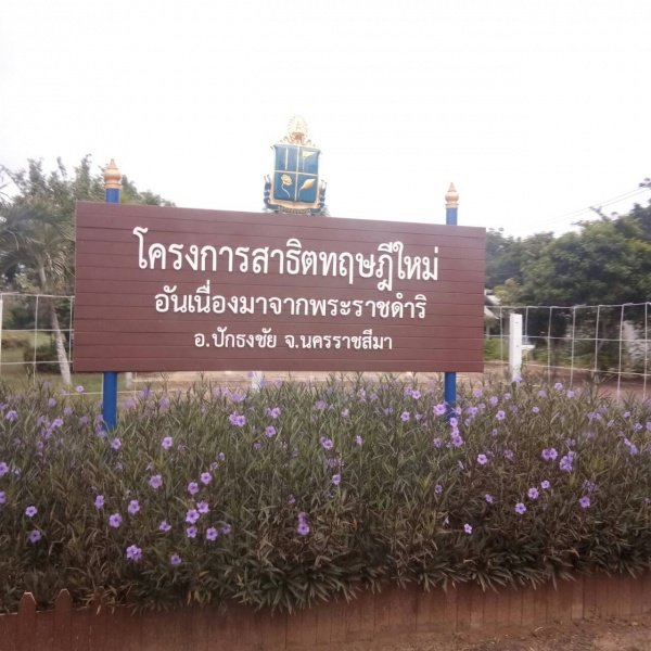 กิจกรรมพัฒนาผู้เรียนโครงการหนูน้อยตามรอยพ่อ ปฐมวัย 3 – 5 ปี 

ปีการศึกษา 2567 ณ ศูนย์สาธิตทฤษฎีใหม่ อันเนื่องมาจากพระราชดำริ 

ตำบลธงชัยเหนือ อำเภอปักธงชัย จังหวัดนครราชสีมา วันที่ 17 กรกฎาคม 2567