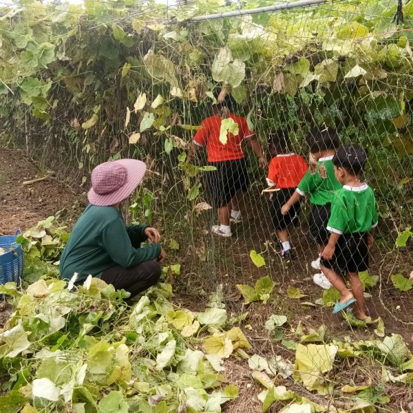 กิจกรรมพัฒนาผู้เรียนโครงการหนูน้อยตามรอยพ่อ ปฐมวัย 3 – 5 ปี 

ปีการศึกษา 2567 ณ ศูนย์สาธิตทฤษฎีใหม่ อันเนื่องมาจากพระราชดำริ 

ตำบลธงชัยเหนือ อำเภอปักธงชัย จังหวัดนครราชสีมา วันที่ 17 กรกฎาคม 2567