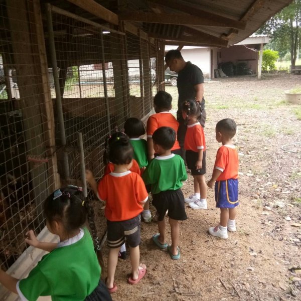 กิจกรรมพัฒนาผู้เรียนโครงการหนูน้อยตามรอยพ่อ ปฐมวัย 3 – 5 ปี 

ปีการศึกษา 2567 ณ ศูนย์สาธิตทฤษฎีใหม่ อันเนื่องมาจากพระราชดำริ 

ตำบลธงชัยเหนือ อำเภอปักธงชัย จังหวัดนครราชสีมา วันที่ 17 กรกฎาคม 2567