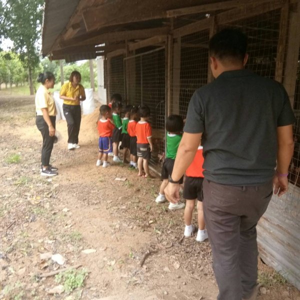 กิจกรรมพัฒนาผู้เรียนโครงการหนูน้อยตามรอยพ่อ ปฐมวัย 3 – 5 ปี 

ปีการศึกษา 2567 ณ ศูนย์สาธิตทฤษฎีใหม่ อันเนื่องมาจากพระราชดำริ 

ตำบลธงชัยเหนือ อำเภอปักธงชัย จังหวัดนครราชสีมา วันที่ 17 กรกฎาคม 2567