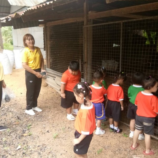 กิจกรรมพัฒนาผู้เรียนโครงการหนูน้อยตามรอยพ่อ ปฐมวัย 3 – 5 ปี 

ปีการศึกษา 2567 ณ ศูนย์สาธิตทฤษฎีใหม่ อันเนื่องมาจากพระราชดำริ 

ตำบลธงชัยเหนือ อำเภอปักธงชัย จังหวัดนครราชสีมา วันที่ 17 กรกฎาคม 2567