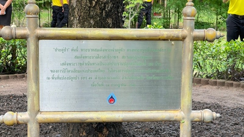 เทศบาลตำบลปักธงชัยเข้าร่วมกิจกรรมบำรุงรักษาต้นไม้ทรงปลูก และกิจกรรมจิตอาสาปลูกต้นไม้ตามโครงการเฉลิมเฉลิมพระเกียรติพระบาทสมเด็จพระเจ้าอยู่หัว เนื่องในโอกาสพระราชพิธีมหามงคลเฉลิมพระชนมพรรษา 6 รอบ 28 กรกฎาคม 2567 วันพุธที่ 24 กรกฎาคม 2567 ณ ต้นประดู่ป่า ในเขตห้ามล่าสัตว์ป่าป่าเขาภูหลวง แปลงปลูกป่า FPT 49