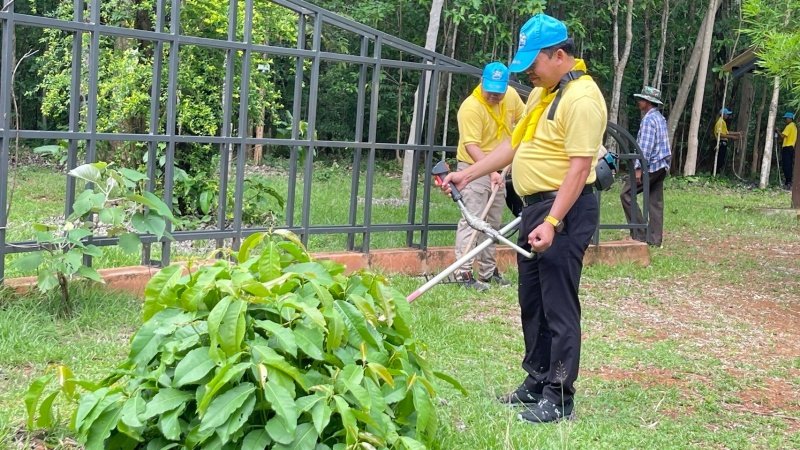 เทศบาลตำบลปักธงชัยเข้าร่วมกิจกรรมบำรุงรักษาต้นไม้ทรงปลูก และกิจกรรมจิตอาสาปลูกต้นไม้ตามโครงการเฉลิมเฉลิมพระเกียรติพระบาทสมเด็จพระเจ้าอยู่หัว เนื่องในโอกาสพระราชพิธีมหามงคลเฉลิมพระชนมพรรษา 6 รอบ 28 กรกฎาคม 2567 วันพุธที่ 24 กรกฎาคม 2567 ณ ต้นประดู่ป่า ในเขตห้ามล่าสัตว์ป่าป่าเขาภูหลวง แปลงปลูกป่า FPT 49