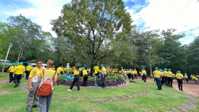 เทศบาลตำบลปักธงชัยเข้าร่วมกิจกรรมบำรุงรักษาต้นไม้ทรงปลูก และกิจกรรมจิตอาสาปลูกต้นไม้ตามโครงการเฉลิมเฉลิมพระเกียรติพระบาทสมเด็จพระเจ้าอยู่หัว เนื่องในโอกาสพระราชพิธีมหามงคลเฉลิมพระชนมพรรษา 6 รอบ 28 กรกฎาคม 2567 วันพุธที่ 24 กรกฎาคม 2567 ณ ต้นประดู่ป่า ในเขตห้ามล่าสัตว์ป่าป่าเขาภูหลวง แปลงปลูกป่า FPT 49