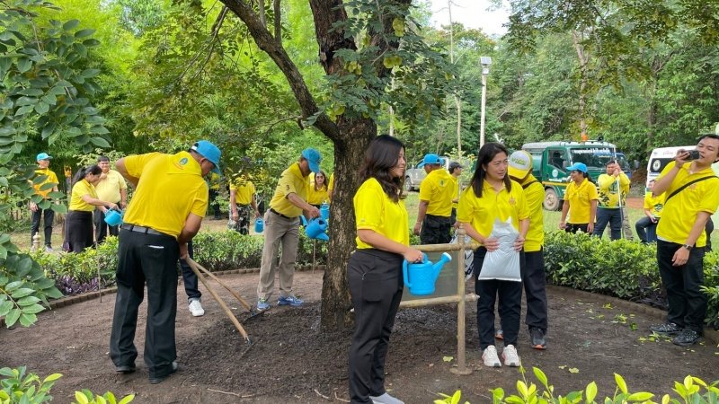 เทศบาลตำบลปักธงชัยเข้าร่วมกิจกรรมบำรุงรักษาต้นไม้ทรงปลูก และกิจกรรมจิตอาสาปลูกต้นไม้ตามโครงการเฉลิมเฉลิมพระเกียรติพระบาทสมเด็จพระเจ้าอยู่หัว เนื่องในโอกาสพระราชพิธีมหามงคลเฉลิมพระชนมพรรษา 6 รอบ 28 กรกฎาคม 2567 วันพุธที่ 24 กรกฎาคม 2567 ณ ต้นประดู่ป่า ในเขตห้ามล่าสัตว์ป่าป่าเขาภูหลวง แปลงปลูกป่า FPT 49