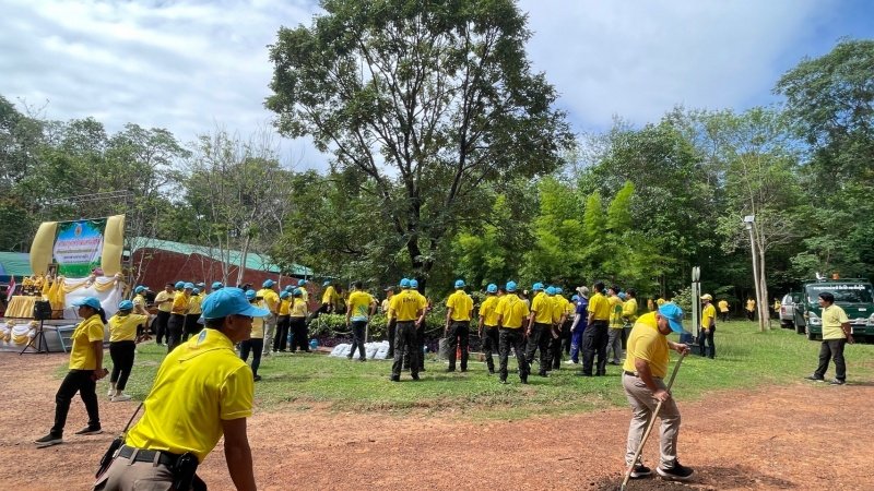 เทศบาลตำบลปักธงชัยเข้าร่วมกิจกรรมบำรุงรักษาต้นไม้ทรงปลูก และกิจกรรมจิตอาสาปลูกต้นไม้ตามโครงการเฉลิมเฉลิมพระเกียรติพระบาทสมเด็จพระเจ้าอยู่หัว เนื่องในโอกาสพระราชพิธีมหามงคลเฉลิมพระชนมพรรษา 6 รอบ 28 กรกฎาคม 2567 วันพุธที่ 24 กรกฎาคม 2567 ณ ต้นประดู่ป่า ในเขตห้ามล่าสัตว์ป่าป่าเขาภูหลวง แปลงปลูกป่า FPT 49