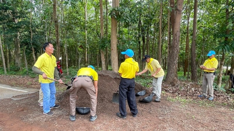 เทศบาลตำบลปักธงชัยเข้าร่วมกิจกรรมบำรุงรักษาต้นไม้ทรงปลูก และกิจกรรมจิตอาสาปลูกต้นไม้ตามโครงการเฉลิมเฉลิมพระเกียรติพระบาทสมเด็จพระเจ้าอยู่หัว เนื่องในโอกาสพระราชพิธีมหามงคลเฉลิมพระชนมพรรษา 6 รอบ 28 กรกฎาคม 2567 วันพุธที่ 24 กรกฎาคม 2567 ณ ต้นประดู่ป่า ในเขตห้ามล่าสัตว์ป่าป่าเขาภูหลวง แปลงปลูกป่า FPT 49