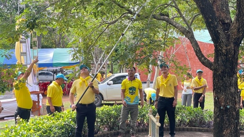 เทศบาลตำบลปักธงชัยเข้าร่วมกิจกรรมบำรุงรักษาต้นไม้ทรงปลูก และกิจกรรมจิตอาสาปลูกต้นไม้ตามโครงการเฉลิมเฉลิมพระเกียรติพระบาทสมเด็จพระเจ้าอยู่หัว เนื่องในโอกาสพระราชพิธีมหามงคลเฉลิมพระชนมพรรษา 6 รอบ 28 กรกฎาคม 2567 วันพุธที่ 24 กรกฎาคม 2567 ณ ต้นประดู่ป่า ในเขตห้ามล่าสัตว์ป่าป่าเขาภูหลวง แปลงปลูกป่า FPT 49