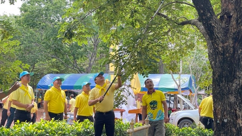 เทศบาลตำบลปักธงชัยเข้าร่วมกิจกรรมบำรุงรักษาต้นไม้ทรงปลูก และกิจกรรมจิตอาสาปลูกต้นไม้ตามโครงการเฉลิมเฉลิมพระเกียรติพระบาทสมเด็จพระเจ้าอยู่หัว เนื่องในโอกาสพระราชพิธีมหามงคลเฉลิมพระชนมพรรษา 6 รอบ 28 กรกฎาคม 2567 วันพุธที่ 24 กรกฎาคม 2567 ณ ต้นประดู่ป่า ในเขตห้ามล่าสัตว์ป่าป่าเขาภูหลวง แปลงปลูกป่า FPT 49