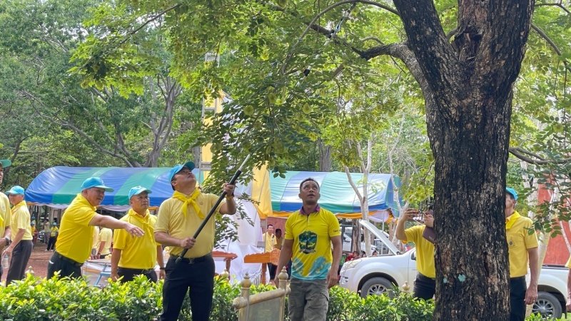 เทศบาลตำบลปักธงชัยเข้าร่วมกิจกรรมบำรุงรักษาต้นไม้ทรงปลูก และกิจกรรมจิตอาสาปลูกต้นไม้ตามโครงการเฉลิมเฉลิมพระเกียรติพระบาทสมเด็จพระเจ้าอยู่หัว เนื่องในโอกาสพระราชพิธีมหามงคลเฉลิมพระชนมพรรษา 6 รอบ 28 กรกฎาคม 2567 วันพุธที่ 24 กรกฎาคม 2567 ณ ต้นประดู่ป่า ในเขตห้ามล่าสัตว์ป่าป่าเขาภูหลวง แปลงปลูกป่า FPT 49