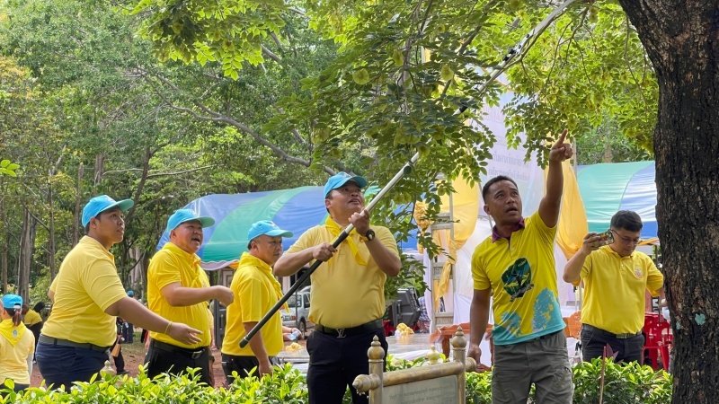 เทศบาลตำบลปักธงชัยเข้าร่วมกิจกรรมบำรุงรักษาต้นไม้ทรงปลูก และกิจกรรมจิตอาสาปลูกต้นไม้ตามโครงการเฉลิมเฉลิมพระเกียรติพระบาทสมเด็จพระเจ้าอยู่หัว เนื่องในโอกาสพระราชพิธีมหามงคลเฉลิมพระชนมพรรษา 6 รอบ 28 กรกฎาคม 2567 วันพุธที่ 24 กรกฎาคม 2567 ณ ต้นประดู่ป่า ในเขตห้ามล่าสัตว์ป่าป่าเขาภูหลวง แปลงปลูกป่า FPT 49