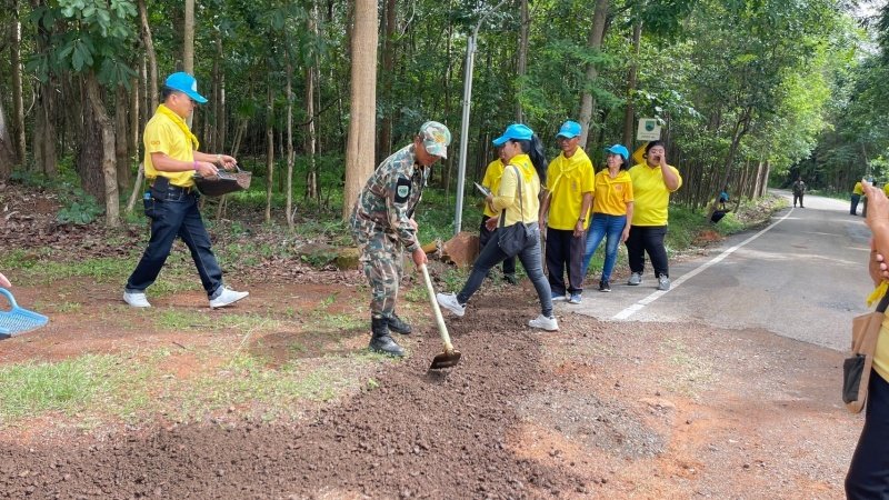 เทศบาลตำบลปักธงชัยเข้าร่วมกิจกรรมบำรุงรักษาต้นไม้ทรงปลูก และกิจกรรมจิตอาสาปลูกต้นไม้ตามโครงการเฉลิมเฉลิมพระเกียรติพระบาทสมเด็จพระเจ้าอยู่หัว เนื่องในโอกาสพระราชพิธีมหามงคลเฉลิมพระชนมพรรษา 6 รอบ 28 กรกฎาคม 2567 วันพุธที่ 24 กรกฎาคม 2567 ณ ต้นประดู่ป่า ในเขตห้ามล่าสัตว์ป่าป่าเขาภูหลวง แปลงปลูกป่า FPT 49