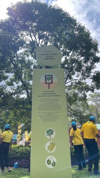 เทศบาลตำบลปักธงชัยเข้าร่วมกิจกรรมบำรุงรักษาต้นไม้ทรงปลูก และกิจกรรมจิตอาสาปลูกต้นไม้ตามโครงการเฉลิมเฉลิมพระเกียรติพระบาทสมเด็จพระเจ้าอยู่หัว เนื่องในโอกาสพระราชพิธีมหามงคลเฉลิมพระชนมพรรษา 6 รอบ 28 กรกฎาคม 2567 วันพุธที่ 24 กรกฎาคม 2567 ณ ต้นประดู่ป่า ในเขตห้ามล่าสัตว์ป่าป่าเขาภูหลวง แปลงปลูกป่า FPT 49