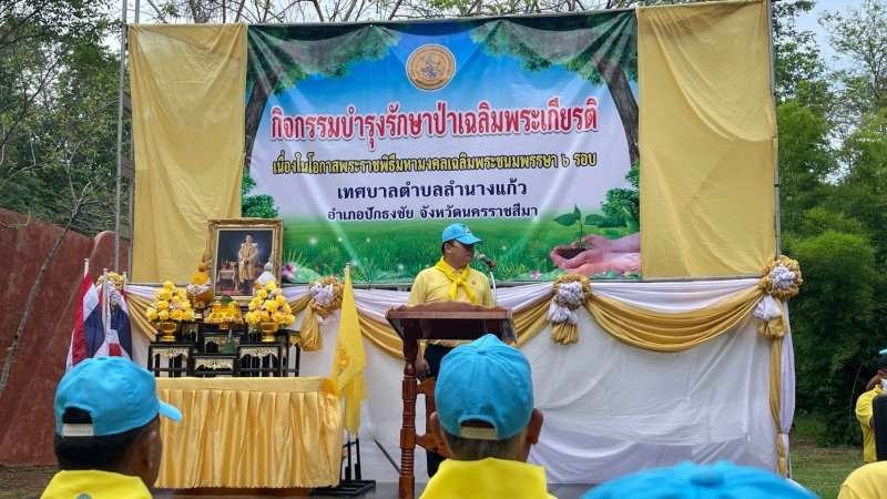 เทศบาลตำบลปักธงชัยเข้าร่วมกิจกรรมบำรุงรักษาต้นไม้ทรงปลูก และกิจกรรมจิตอาสาปลูกต้นไม้ตามโครงการเฉลิมเฉลิมพระเกียรติพระบาทสมเด็จพระเจ้าอยู่หัว เนื่องในโอกาสพระราชพิธีมหามงคลเฉลิมพระชนมพรรษา 6 รอบ 28 กรกฎาคม 2567 วันพุธที่ 24 กรกฎาคม 2567 ณ ต้นประดู่ป่า ในเขตห้ามล่าสัตว์ป่าป่าเขาภูหลวง แปลงปลูกป่า FPT 49