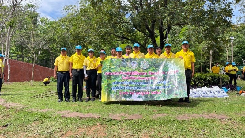 เทศบาลตำบลปักธงชัยเข้าร่วมกิจกรรมบำรุงรักษาต้นไม้ทรงปลูก และกิจกรรมจิตอาสาปลูกต้นไม้ตามโครงการเฉลิมเฉลิมพระเกียรติพระบาทสมเด็จพระเจ้าอยู่หัว เนื่องในโอกาสพระราชพิธีมหามงคลเฉลิมพระชนมพรรษา 6 รอบ 28 กรกฎาคม 2567 วันพุธที่ 24 กรกฎาคม 2567 ณ ต้นประดู่ป่า ในเขตห้ามล่าสัตว์ป่าป่าเขาภูหลวง แปลงปลูกป่า FPT 49