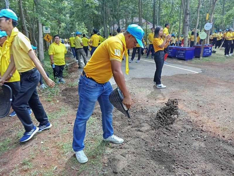 เทศบาลตำบลปักธงชัยเข้าร่วมกิจกรรมบำรุงรักษาต้นไม้ทรงปลูก และกิจกรรมจิตอาสาปลูกต้นไม้ตามโครงการเฉลิมเฉลิมพระเกียรติพระบาทสมเด็จพระเจ้าอยู่หัว เนื่องในโอกาสพระราชพิธีมหามงคลเฉลิมพระชนมพรรษา 6 รอบ 28 กรกฎาคม 2567 วันพุธที่ 24 กรกฎาคม 2567 ณ ต้นประดู่ป่า ในเขตห้ามล่าสัตว์ป่าป่าเขาภูหลวง แปลงปลูกป่า FPT 49