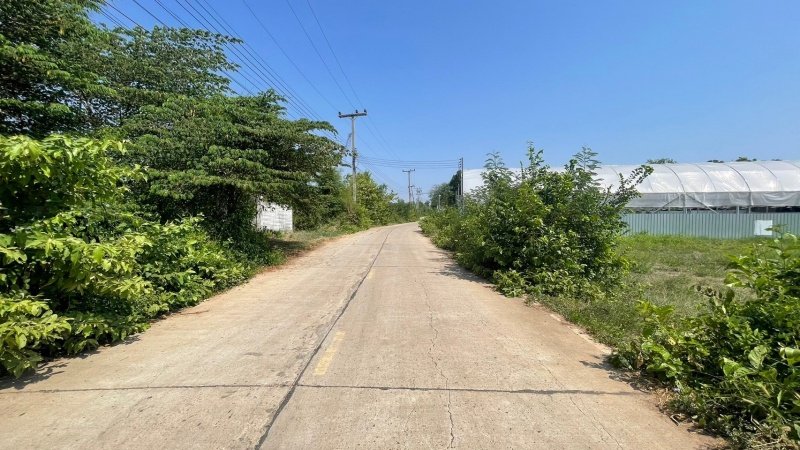 24 เมษายน 2567 เทศบาลตำบลปักธงชัย ได้จัดกิจกรรมจิตอาสา เนื่องในวันเทศบาล ประจำปี พ.ศ.2567 บริเวณอาคารสำนักงานและศูนย์ป้องกันและบรรเทาสาธารณภัย