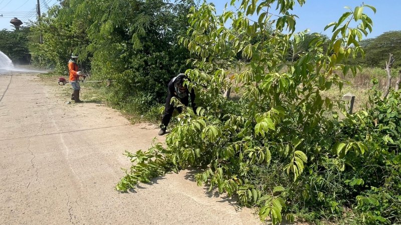 24 เมษายน 2567 เทศบาลตำบลปักธงชัย ได้จัดกิจกรรมจิตอาสา เนื่องในวันเทศบาล ประจำปี พ.ศ.2567 บริเวณอาคารสำนักงานและศูนย์ป้องกันและบรรเทาสาธารณภัย