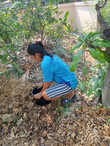 โครงการถังขยะเปียกลดโลกร้อน เพื่อเป็นการกระตุ้น สร้างความตื่นตัวแก่ประชาชนในการจัดทำถังขยะเปียกให้แก่ครัวเรื่อนในพื้นที่รับผิดชอบช่วงเดือนมกราคม – มีนาคม 2567