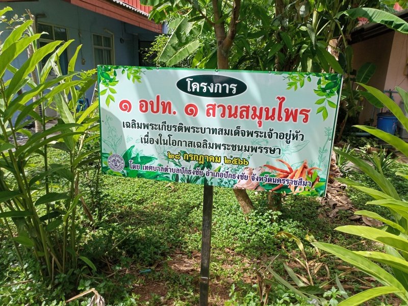 กองสาธารณสุข เทศบาลตำบลปักธงชัย จัดทำโครงการ ๑ อปท. ๑ สวนสมุนไพรเฉลิมพระเกียรติพระบามสมเด็จพระเจ้าอยู่หัว เนื่องในโอกาสเฉลิมพระชนมพรรษา ๒๘ กรกฎาคม ๒๕๖๖ ณ เทศบาลตำบลปักธงชัย