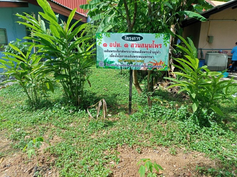 กองสาธารณสุข เทศบาลตำบลปักธงชัย จัดทำโครงการ ๑ อปท. ๑ สวนสมุนไพรเฉลิมพระเกียรติพระบามสมเด็จพระเจ้าอยู่หัว เนื่องในโอกาสเฉลิมพระชนมพรรษา ๒๘ กรกฎาคม ๒๕๖๖ ณ เทศบาลตำบลปักธงชัย