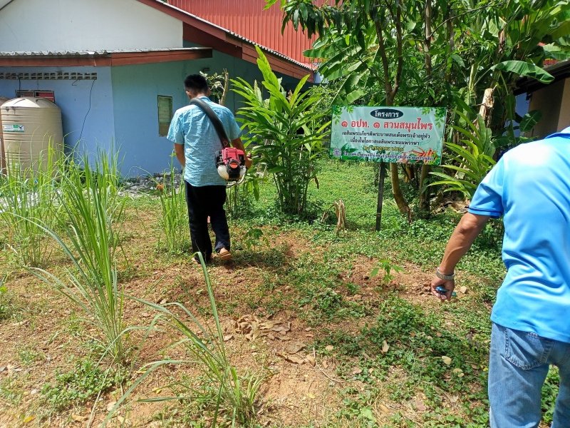 กองสาธารณสุข เทศบาลตำบลปักธงชัย จัดทำโครงการ ๑ อปท. ๑ สวนสมุนไพรเฉลิมพระเกียรติพระบามสมเด็จพระเจ้าอยู่หัว เนื่องในโอกาสเฉลิมพระชนมพรรษา ๒๘ กรกฎาคม ๒๕๖๖ ณ เทศบาลตำบลปักธงชัย