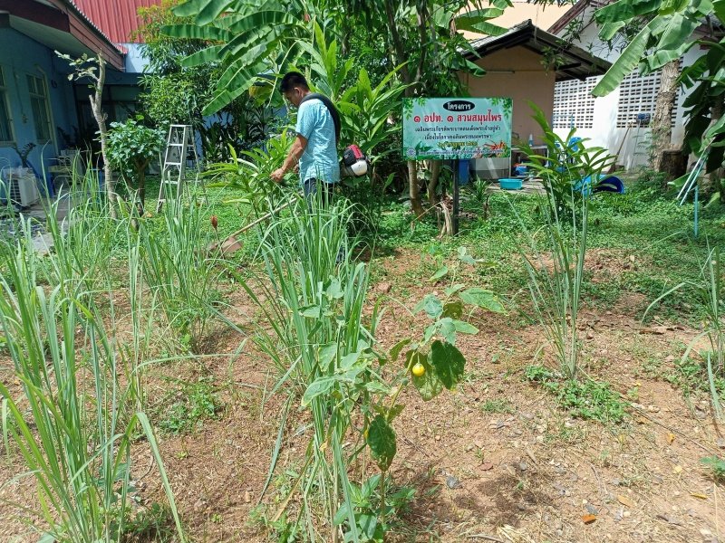 กองสาธารณสุข เทศบาลตำบลปักธงชัย จัดทำโครงการ ๑ อปท. ๑ สวนสมุนไพรเฉลิมพระเกียรติพระบามสมเด็จพระเจ้าอยู่หัว เนื่องในโอกาสเฉลิมพระชนมพรรษา ๒๘ กรกฎาคม ๒๕๖๖ ณ เทศบาลตำบลปักธงชัย