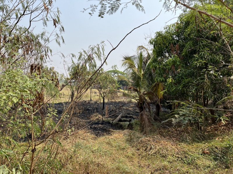 งานป้องกันและบรรเทาสาธารรภัย เทศบาลตำบลปักธงชัย ออกช่วยระงับเหตุเพลิงไหม้ บ้านนาแค หมู่ที่ 4