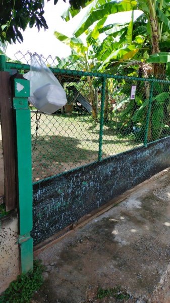 เทศบาลตำบลปักธงชัยจัดส่งอาหารให้แก่ผู้กักตัว ประจำเดือน กรกฎาคม - กันยายน 2564 ในเขตพื้นที่เทศบาลตำบลปักธงชัย