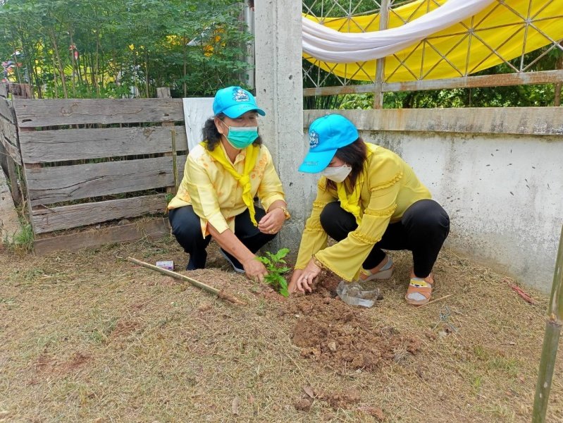 โครงการจิตอาสา เราทำดีด้วยหัวใจ เทศบาลตำบลปักธงชัย ร่วมปลูกต้นไม้ 23 กรกฎาคม 2564 ในเขตพื้นที่เทศบาลตำบลปักธงชัย