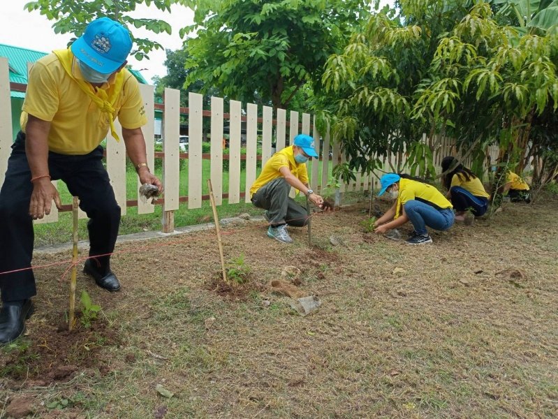 โครงการจิตอาสา เราทำดีด้วยหัวใจ เทศบาลตำบลปักธงชัย ร่วมปลูกต้นไม้ 23 กรกฎาคม 2564 ในเขตพื้นที่เทศบาลตำบลปักธงชัย