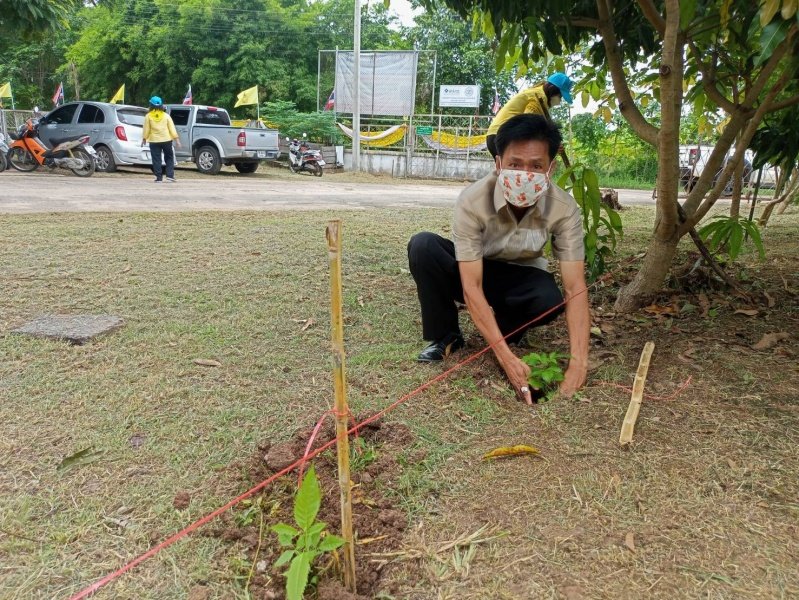 โครงการจิตอาสา เราทำดีด้วยหัวใจ เทศบาลตำบลปักธงชัย ร่วมปลูกต้นไม้ 23 กรกฎาคม 2564 ในเขตพื้นที่เทศบาลตำบลปักธงชัย