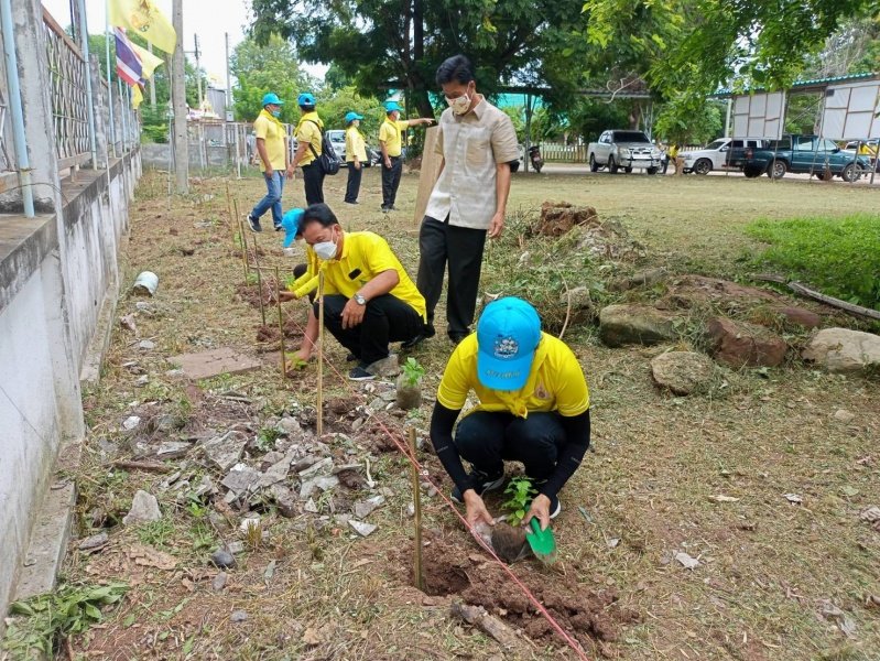 โครงการจิตอาสา เราทำดีด้วยหัวใจ เทศบาลตำบลปักธงชัย ร่วมปลูกต้นไม้ 23 กรกฎาคม 2564 ในเขตพื้นที่เทศบาลตำบลปักธงชัย