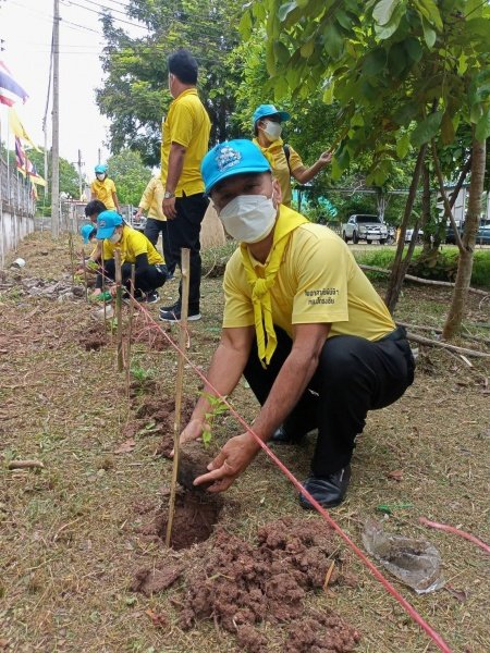 โครงการจิตอาสา เราทำดีด้วยหัวใจ เทศบาลตำบลปักธงชัย ร่วมปลูกต้นไม้ 23 กรกฎาคม 2564 ในเขตพื้นที่เทศบาลตำบลปักธงชัย