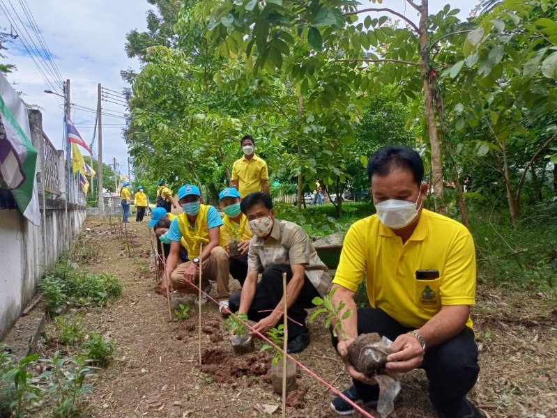 โครงการจิตอาสา เราทำดีด้วยหัวใจ เทศบาลตำบลปักธงชัย ร่วมปลูกต้นไม้ 23 กรกฎาคม 2564 ในเขตพื้นที่เทศบาลตำบลปักธงชัย