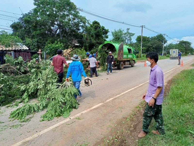 เทศบาลตำบลปักธงชัย ตัดต้นไม้เพื่อป้องกันอันตราย ประจำเดือนกรกฎาคม - กันยายน 2564 ในเขตพื้นที่เทศบาลตำบลปักธงชัย