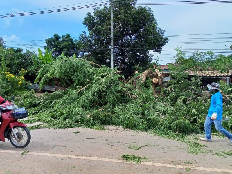 เทศบาลตำบลปักธงชัย ตัดต้นไม้เพื่อป้องกันอันตราย ประจำเดือนกรกฎาคม - กันยายน 2564 ในเขตพื้นที่เทศบาลตำบลปักธงชัย