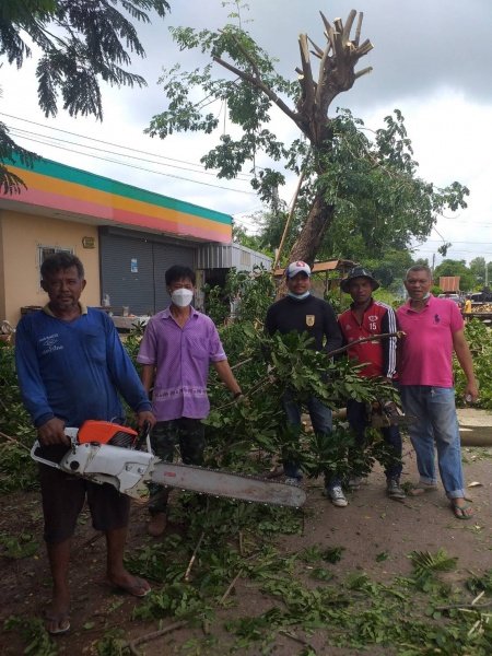 เทศบาลตำบลปักธงชัย ตัดต้นไม้เพื่อป้องกันอันตราย ประจำเดือนกรกฎาคม - กันยายน 2564 ในเขตพื้นที่เทศบาลตำบลปักธงชัย