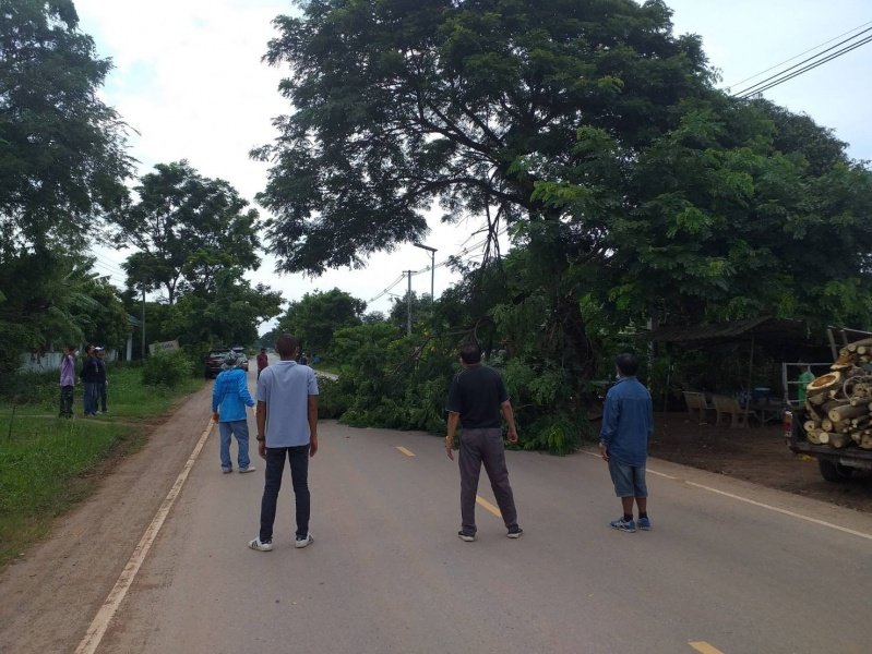 เทศบาลตำบลปักธงชัย ตัดต้นไม้เพื่อป้องกันอันตราย ประจำเดือนกรกฎาคม - กันยายน 2564 ในเขตพื้นที่เทศบาลตำบลปักธงชัย