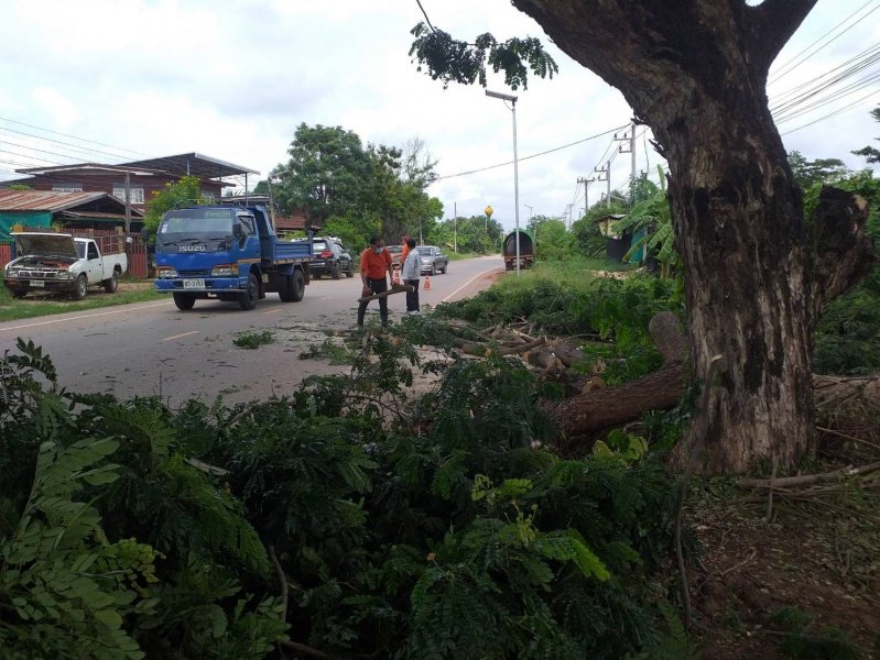 เทศบาลตำบลปักธงชัย ตัดต้นไม้เพื่อป้องกันอันตราย ประจำเดือนกรกฎาคม - กันยายน 2564 ในเขตพื้นที่เทศบาลตำบลปักธงชัย