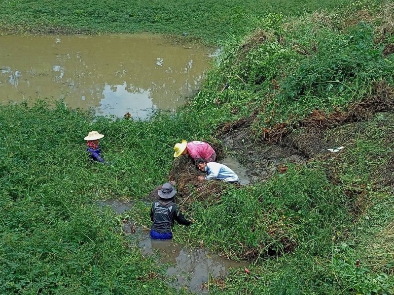 โครงการคลองสวยน้ำใสเทศบาลตำบลปักธงชัย ประจำปี พ.ศ. 2564 วันที่ 4 กันยายน 2564 ณ บ้านนาแค หมู่ที่ 4 ตำบลเมืองปัก อำเภอปักธงชัย จังหวัดนครราชสีมา