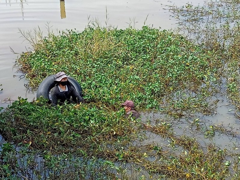 โครงการคลองสวยน้ำใสเทศบาลตำบลปักธงชัย ประจำปี พ.ศ. 2564 วันที่ 4 กันยายน 2564 ณ บ้านนาแค หมู่ที่ 4 ตำบลเมืองปัก อำเภอปักธงชัย จังหวัดนครราชสีมา