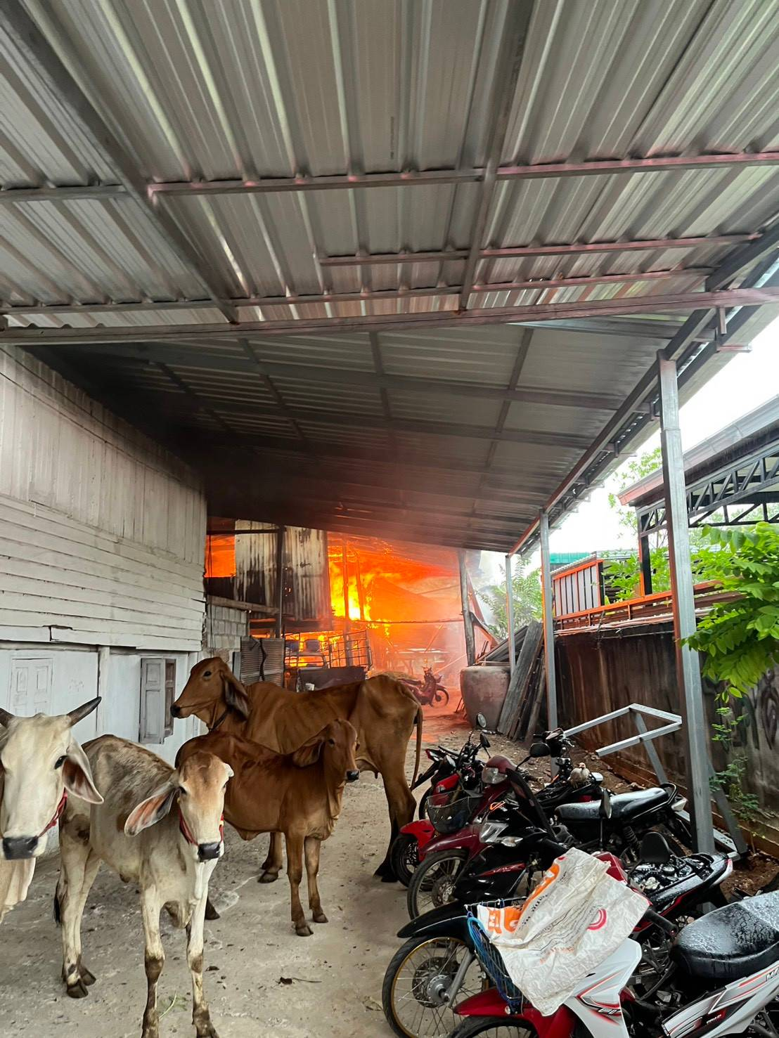 พิธีรับมอบสิ่งของในการดำรงชีพเบื้องต้นเพื่อบรรเทาความเดือดร้อนเฉพาะหน้า  แก่นางสาวทองสุข จอมจะโปะ ผู้ประสบอัคคีภัยบ้านเรือนได้รับความเสียหายทั้งหลัง